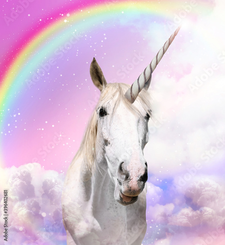 Magic unicorn in beautiful sky with rainbow and fluffy clouds. Fantasy world © New Africa