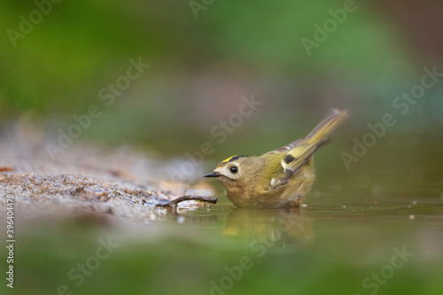 Bord in the water