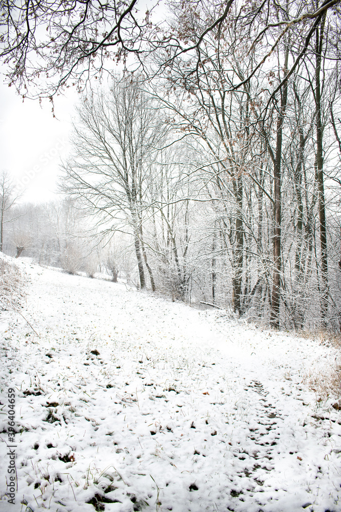 Winter landscape. Snow on trees. Lovely winter photo Winter landscape. Snow on trees. Lovely winter photo