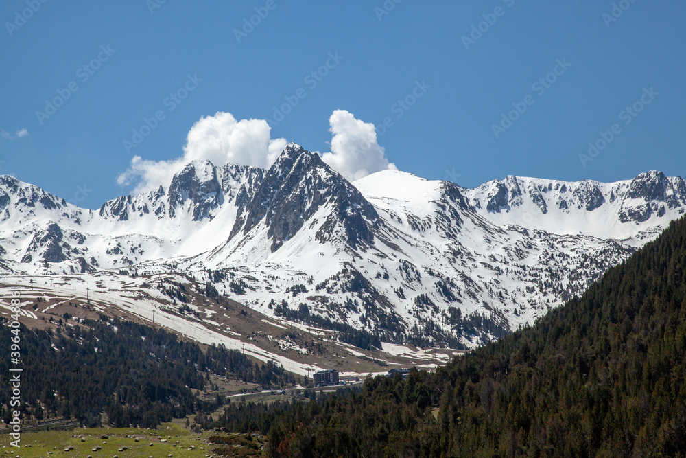 Coniferous forest against the background of mountains shrouded in thick clouds