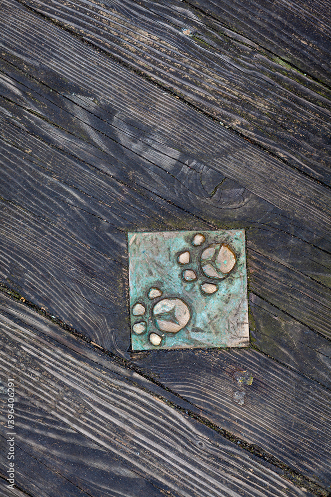 Obraz premium bronze paws of an animal on a sidewalk in the city of Bremen