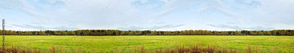 Green fields with wood forest background Green fields with wood forest background