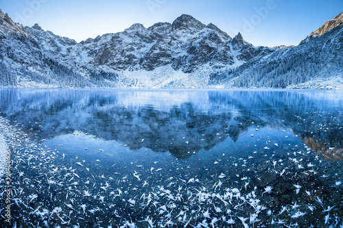 Winter landscape. Snowflakes on ice.