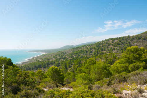 Mediterranean sea and pine forest on a sunny summer day. Beautiful spanish coast. © Julien
