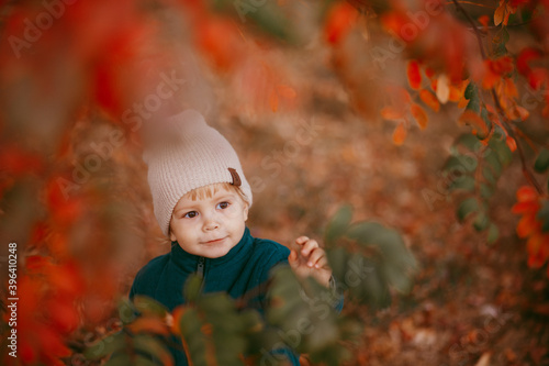 A boy  dressed in a beige hat and green jacket  kneels against the background of autumn
