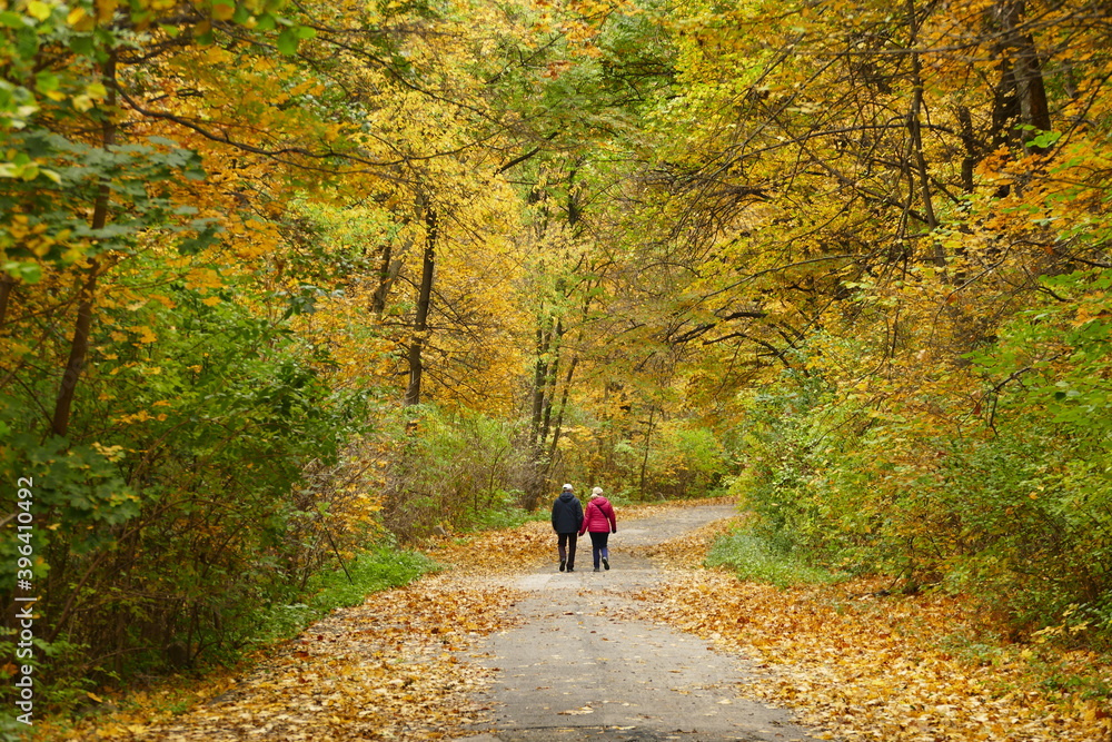 Couple walking in the colorful autumn woods.
Active lifestyle Couple walking in the colorful autumn woods.
Active lifestyle