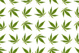 Green hemp leaves on white background. Cannabis green leaves on a white background