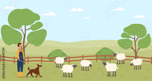 Farmer working on countryside farm. Man with dog taking care of domestic sheep. Rural, ranch, countryside, village lifestyle concept. Farmer character. Cartoon flat vector illustration