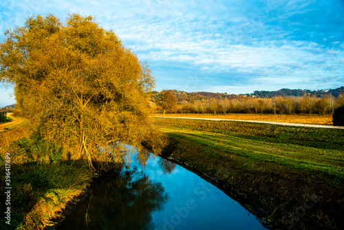 bend of the river with tree in autumn