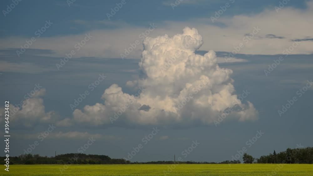 Thunderstorm cloud building in this time lapse with a canola field and a row of trees below the clouds.
Thunderstorm cloud building in this time lapse with a canola field and a row of trees below the clouds.