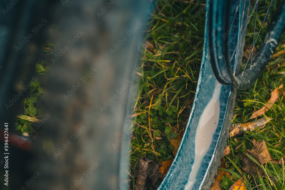 Foto de Defect on the mountain bike flat tire of a tubeless setup exposing the white milk or
