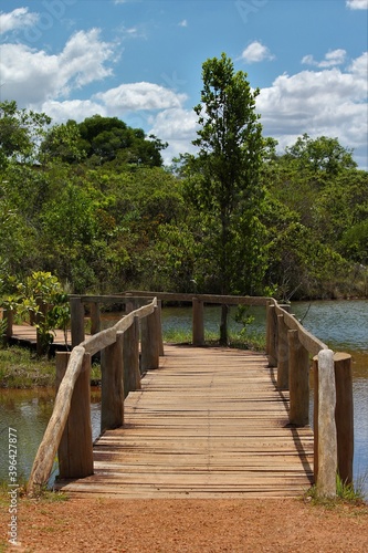 Pontes no laguinho © Flamarion