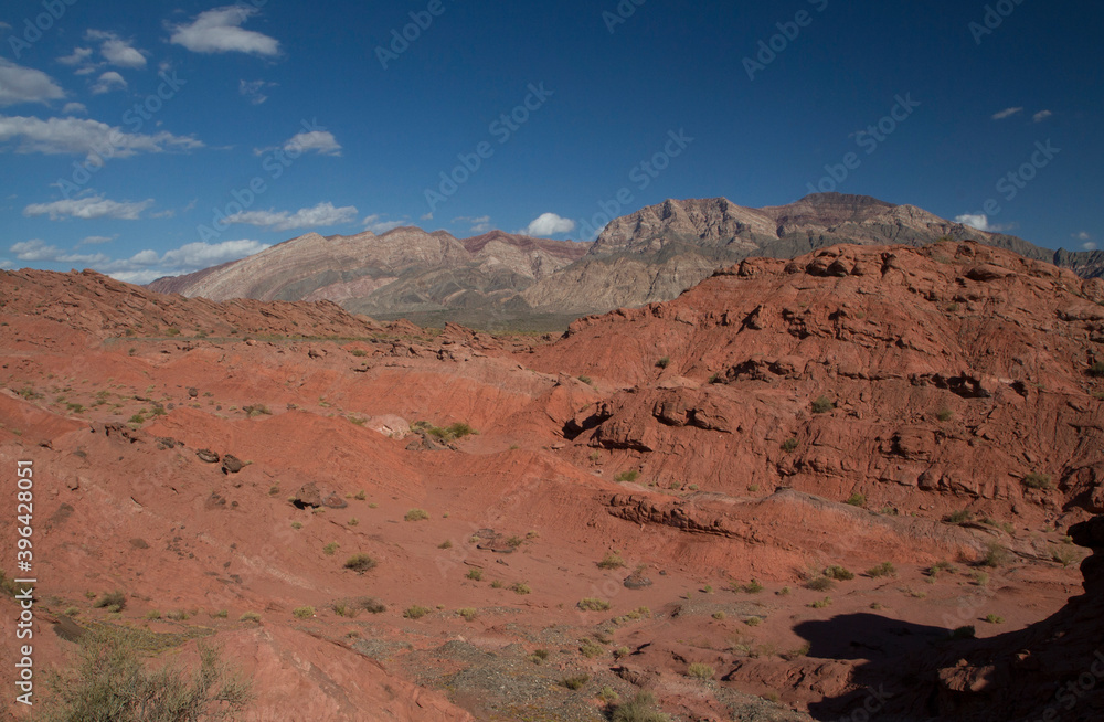Fototapeta premium The red canyon. View of the arid desert, valley, sandstone, rocky formations and mountains under a deep blue sky in Talampaya national park in La Rioja, Argentina.