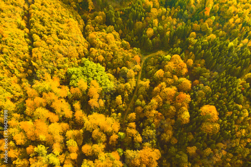 Aerial view of autumn forest in South Styrias Green hart of Austria. View at hiking paths in clolorfull alpine forest.