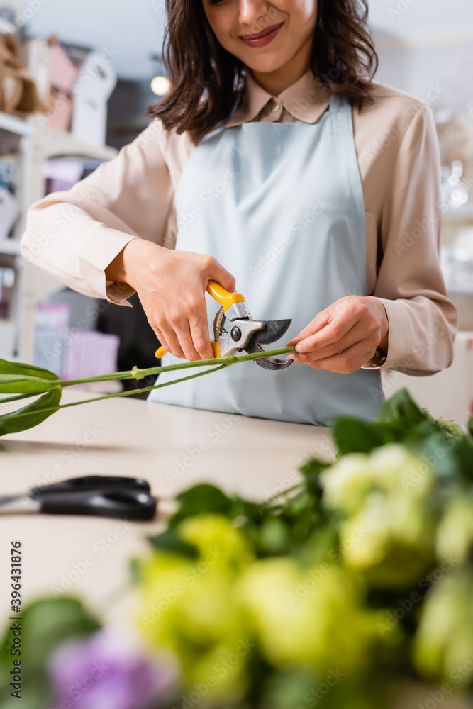 cropped view of smiling florist cutting steam near flowers of blurred foreground cropped view of smiling florist cutting steam near flowers of blurred foreground