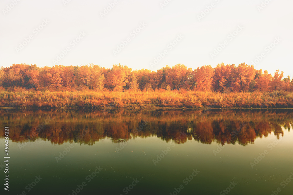 Tranquil autumn scenery along the Gunnison River in Colorado with yellow autumn trees