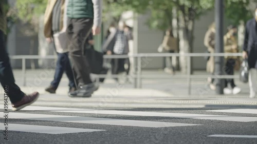Wallpaper Mural 群衆・歩く人・横断歩道・東京駅 Torontodigital.ca