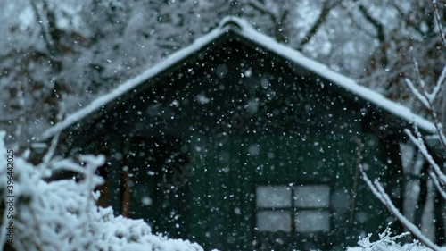 Wallpaper Mural SLOW MOTION TIME WARP, BOKEH, CLOSE UP, DOF: Cinematic shot of a blizzard covering nature surrounding a small cabin in the coniferous woods. A flurry of delicate snowflakes covers the forest and shack Torontodigital.ca