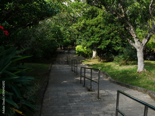 自然公園内の下り階段