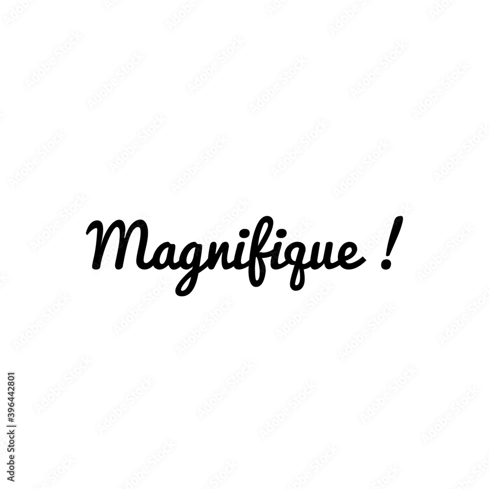 ''Magnifique'' (''Magnificent'' in french) Lettering