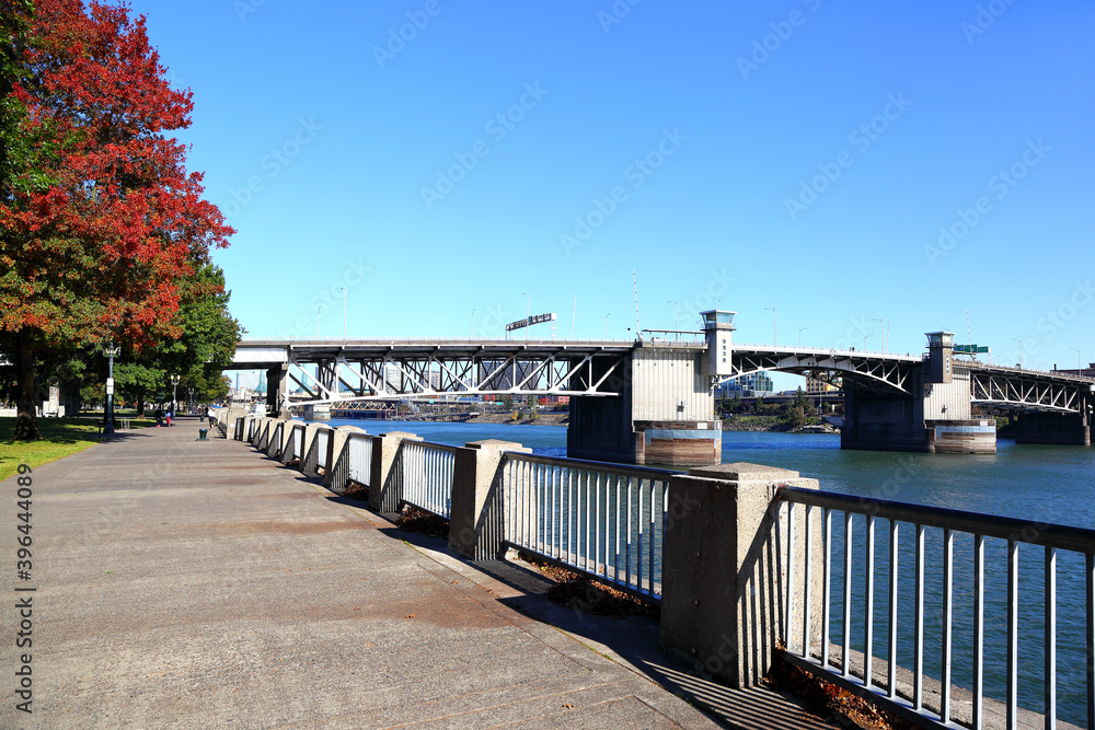 Fototapeta premium Portland, City of Bridges: Morrison Bridge and Tom McCall Waterfront Park