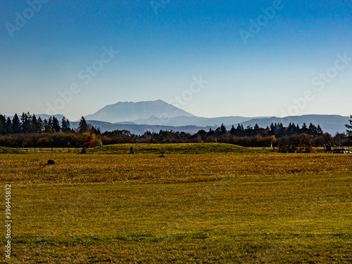 landscape in the autumn