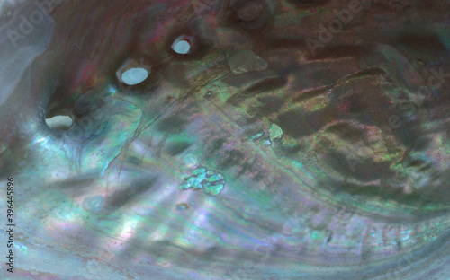 close up macro shot of a nacre or mother of pearl lining of a mollusk shell in iridescent shades of turquoise, sea foam green and lavender, makes an artistic background photo