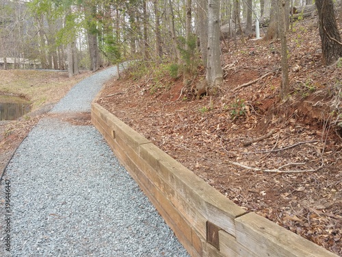 path in the woods