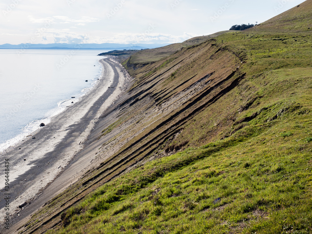 Fototapeta premium Dramatic coastal scenery along Cattle Point Road with view of South Beach - San Juan Island, WA, USA