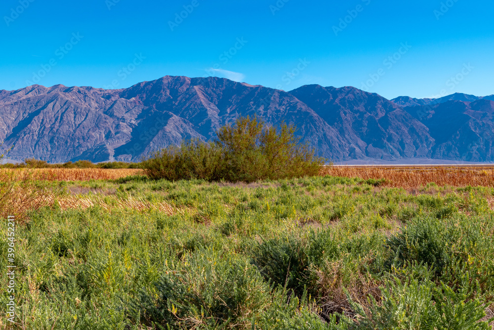 USA, CA, 30 of November 2020, Death Valley, Scenic view.  Lifeless desert with it`s own Flora. 