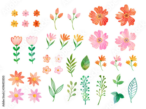 illustration of parts of flowers