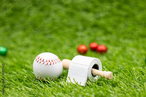 Baseball Christmas Holiday with Tissue roll on green grass