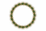 peacock feathers frame in white background with text copy space