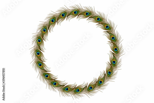 Cuadro en lienzo peacock feathers frame in white  background with text copy space