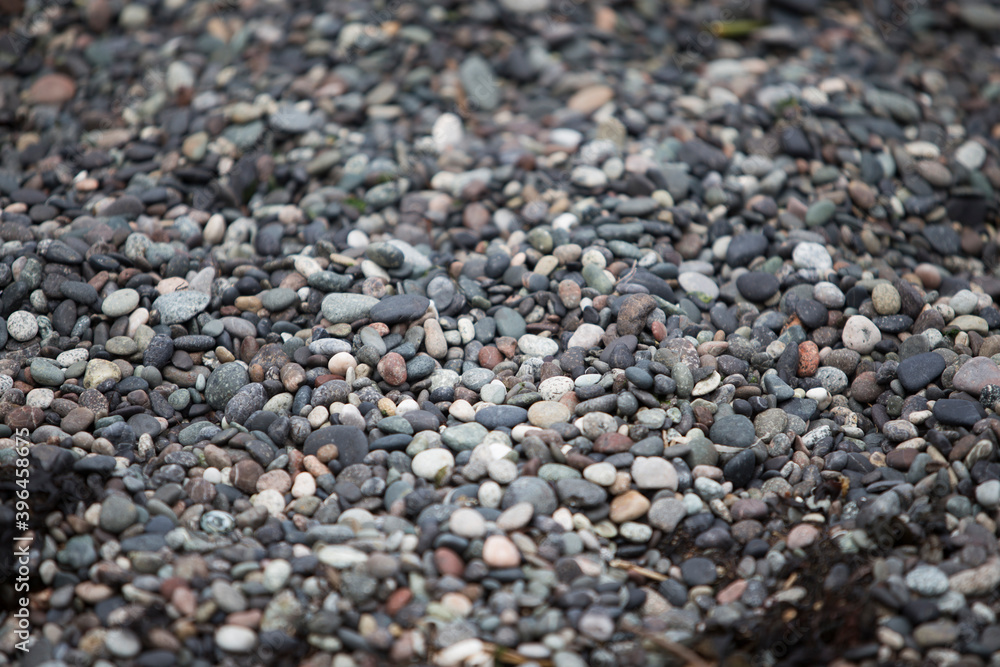 Fragment of Pebble Beach, Galiano Island, BC Fragment of Pebble Beach, Galiano Island, BC