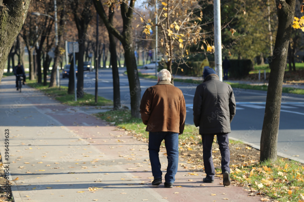 Older men walking in park