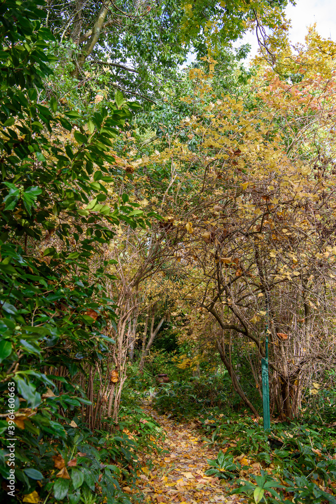 Autumn at Tieve Garden, Mount Macedon Autumn at Tieve Garden, Mount Macedon