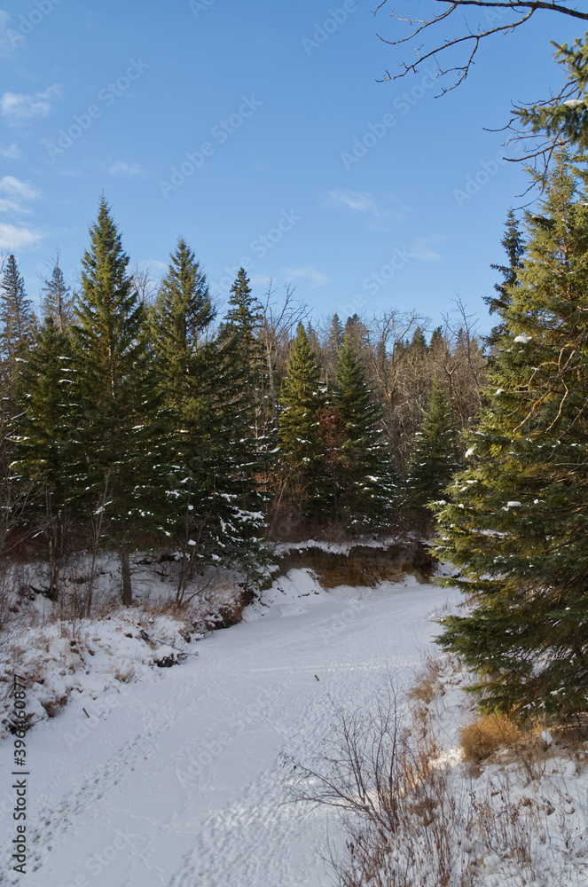 A Frozen Creek at Whitemud Park A Frozen Creek at Whitemud Park