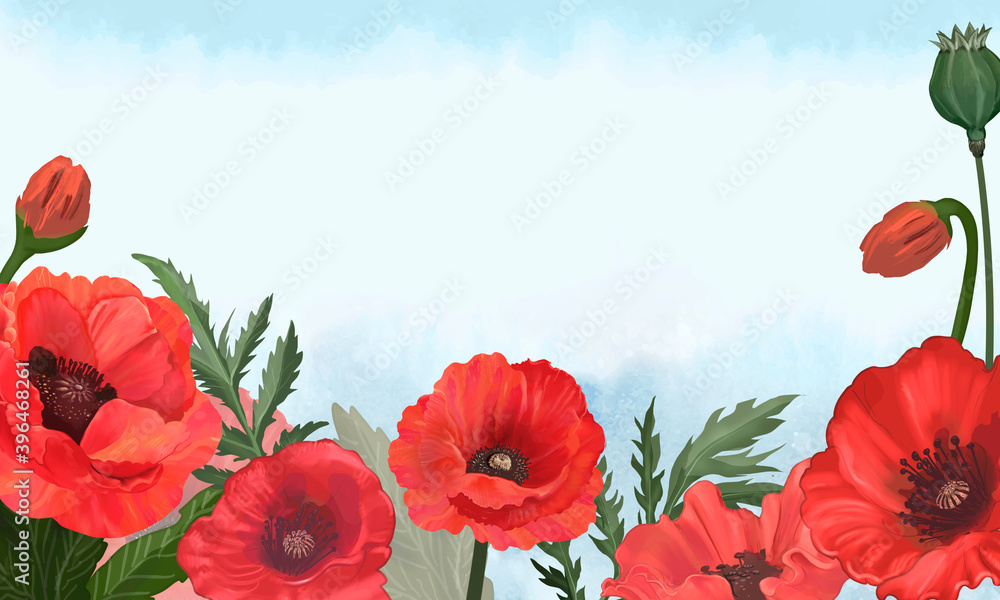Fototapeta premium Hand drawn poppies with a blue background