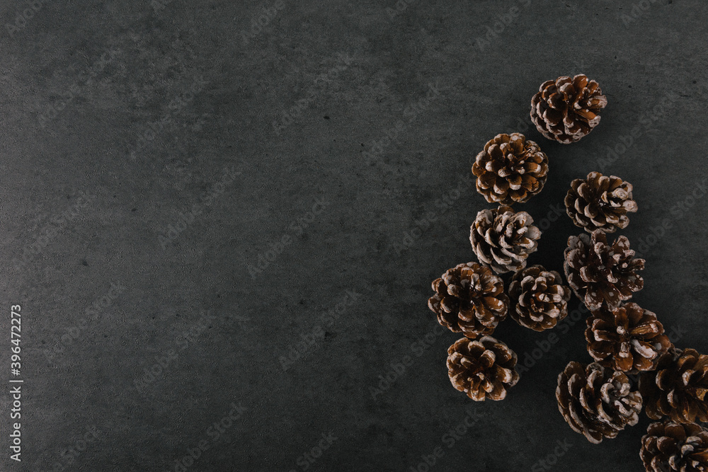 Group of pine cones spread on dark slate texture Group of pine cones spread on dark slate texture
