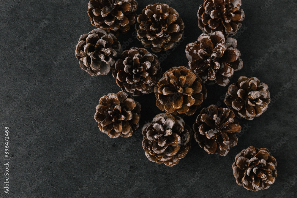 Group of pine cones on dark slate texture Group of pine cones on dark slate texture