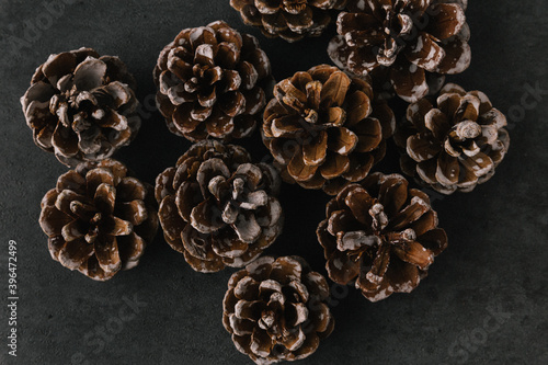Group of pine cones on dark slate texture