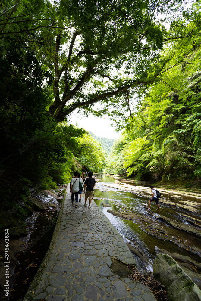 japan river forest