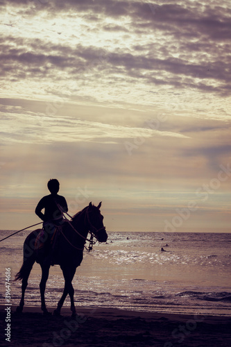 boy riding a horse backlight in sand water beach waves sunset ecuador monta  ita latin america