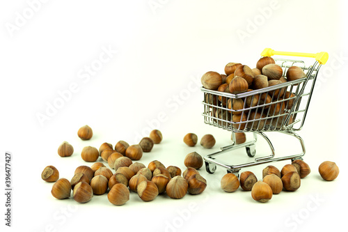 Hazelnut on a white background with space for text