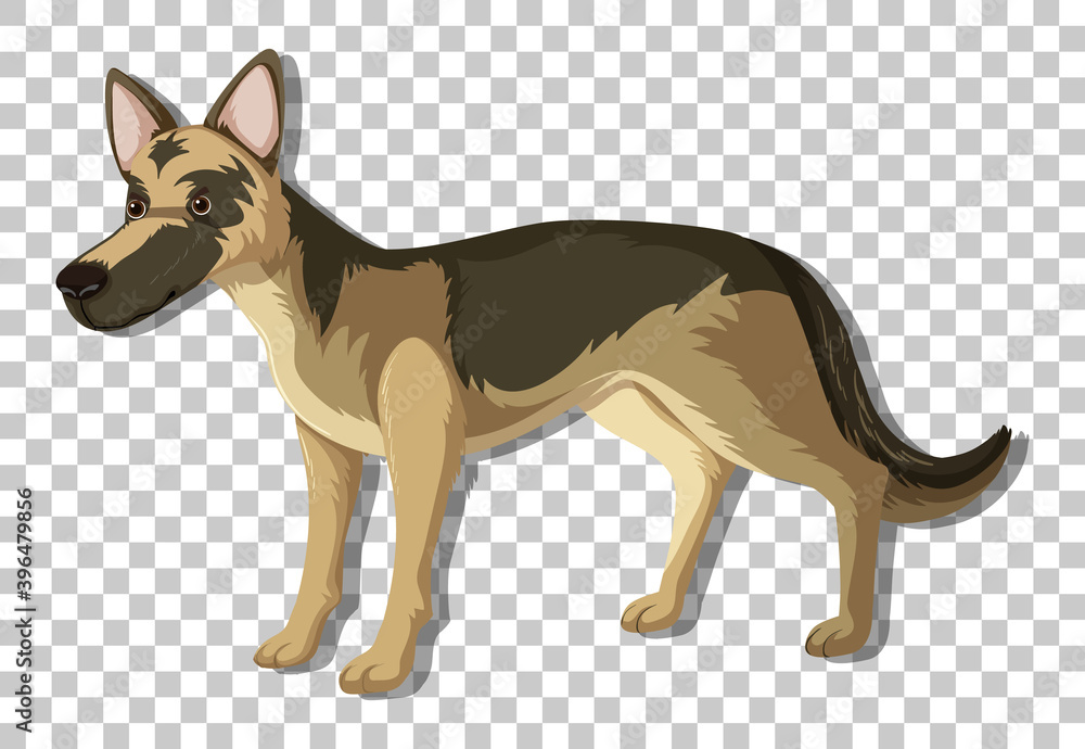 German Shepherd in standing position cartoon character isolated on transparent background