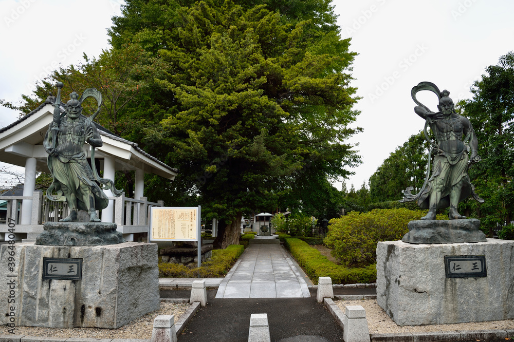 Obraz premium 坂東三十三観音八番札所、星谷寺仁王像