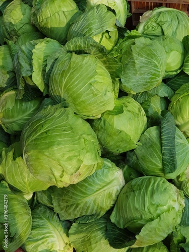 cabbage in the market