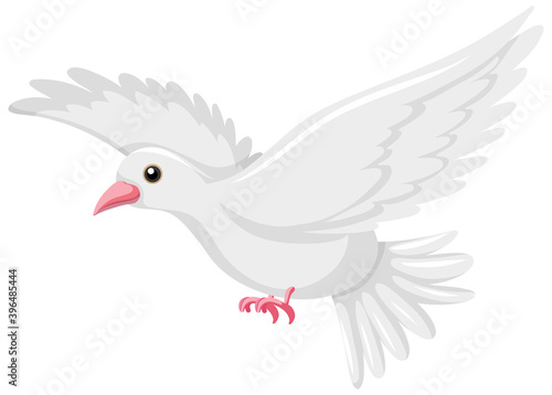 White baird flyting on white background