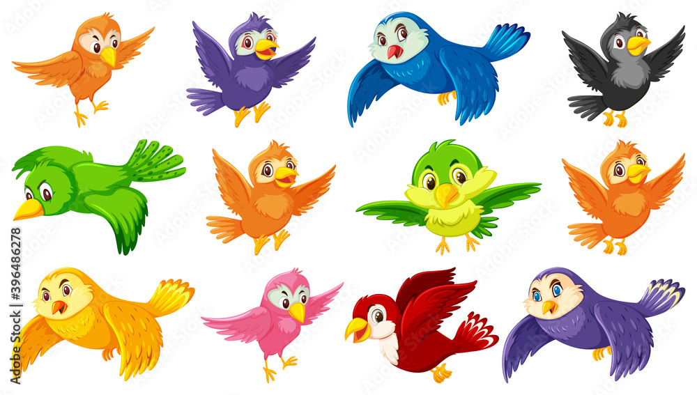 Set of bird cartoon character Set of bird cartoon character